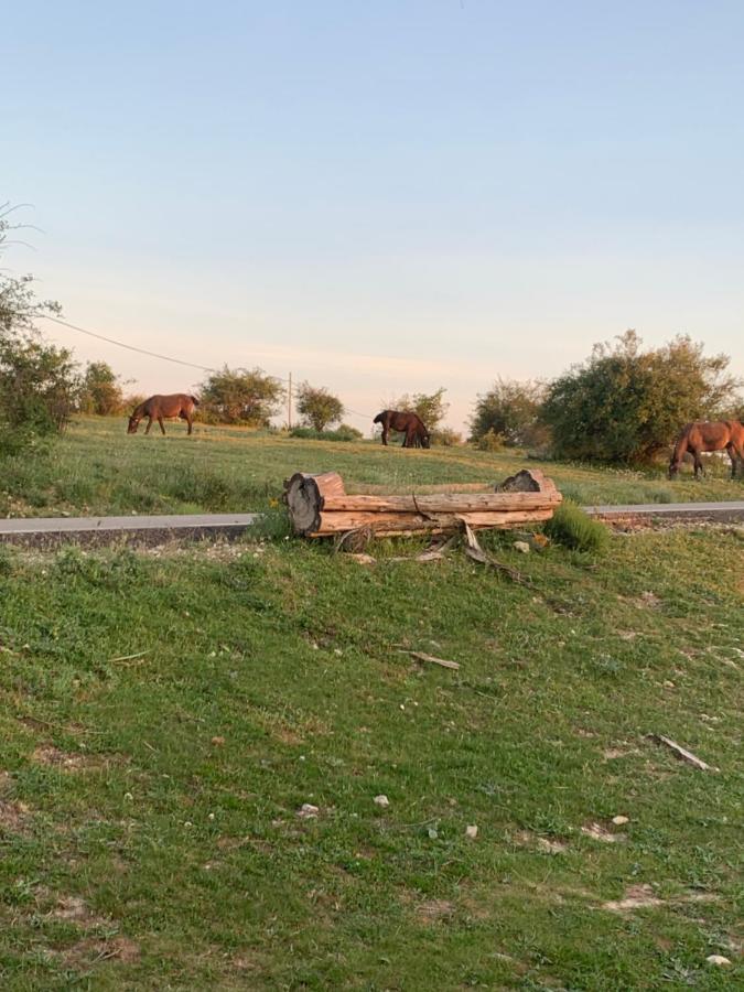 Cabanas Buenache Buenache de la Sierra Kültér fotó